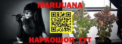 прущие грибы Ставрополь